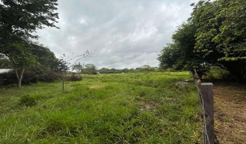 VENDO FINCA EN TAURAMENA